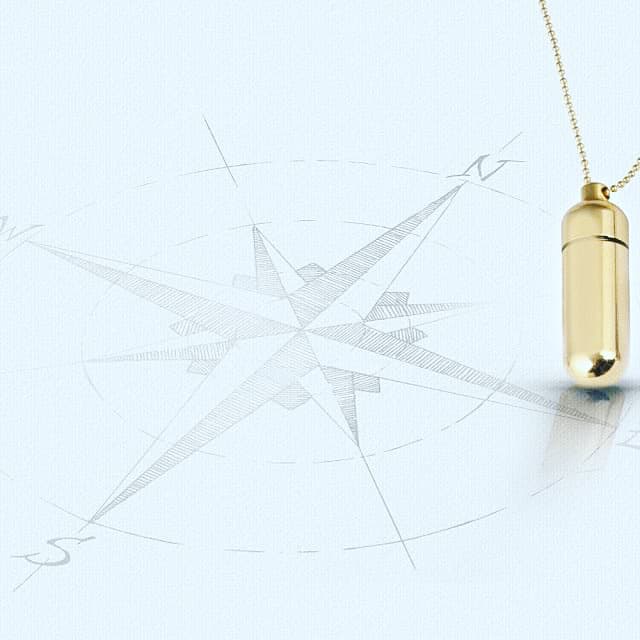 CORE Compass Necklace, Gold Tone and Silver Tone